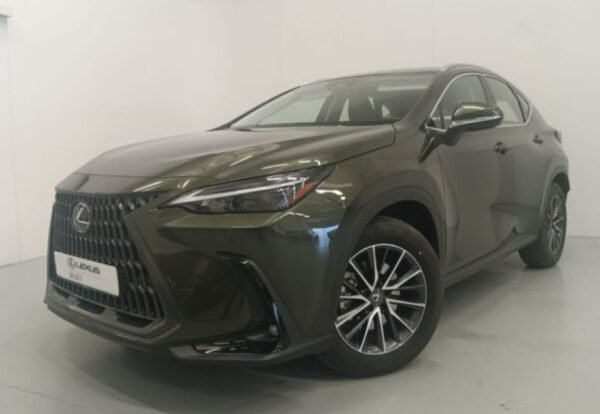 LEXUS NX - Imatge 6