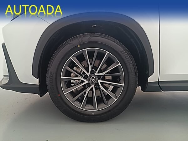 LEXUS NX - Imagen 13
