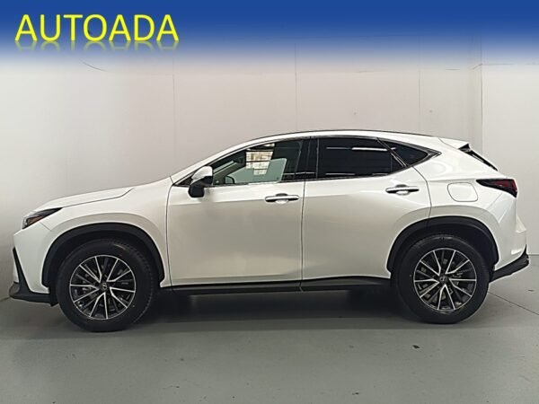 LEXUS NX - Imagen 5