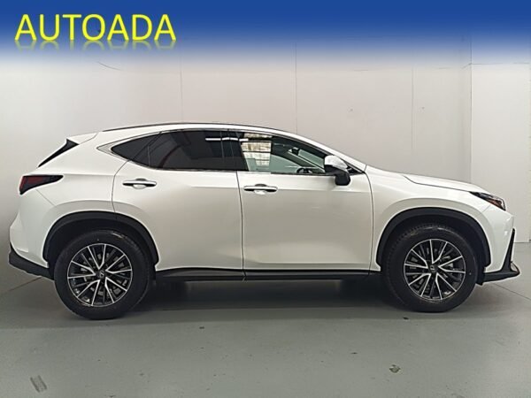 LEXUS NX - Imagen 6