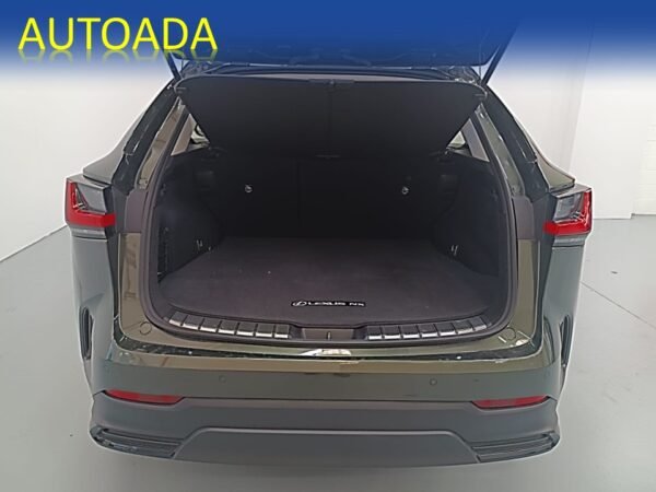LEXUS NX - Imatge 24