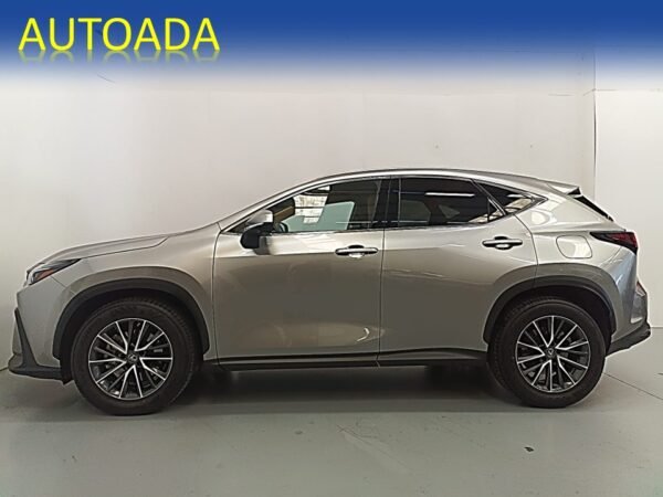 LEXUS NX - Imatge 6